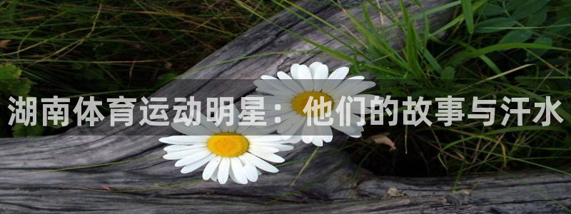 皇冠277体育：湖南体育运动明星：他们的故事与汗水