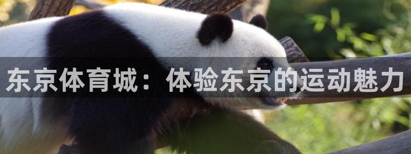 皇冠277体育：东京体育城：体验东京的运动魅力