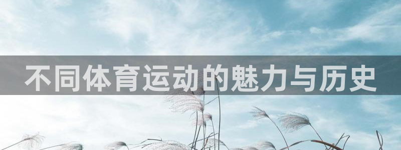 77体育app下载官网：不同体育运动的魅力与历史