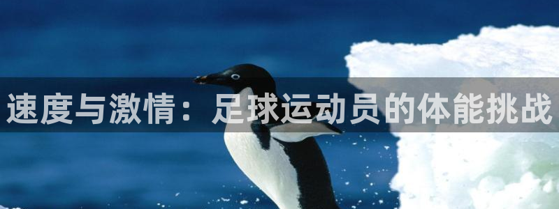 77体育：速度与激情：足球运动员的体能挑战