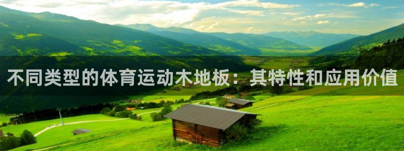 77体育：不同类型的体育运动木地板：其特性和应用价值