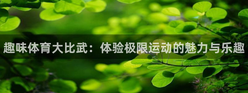 77体育官网：趣味体育大比武：体验极限运动的魅力与乐趣