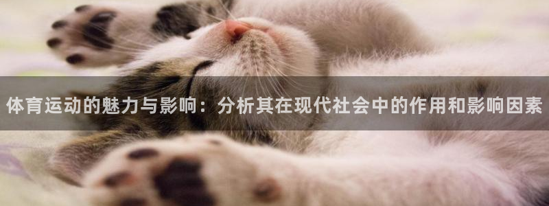 77体育：体育运动的魅力与影响：分析其在现代社会中的作用和影响因素