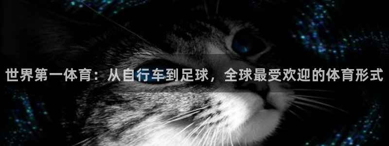 77体育app下载官网：世界第一体育：从自行车到足球，全球最受欢迎的体育形式
