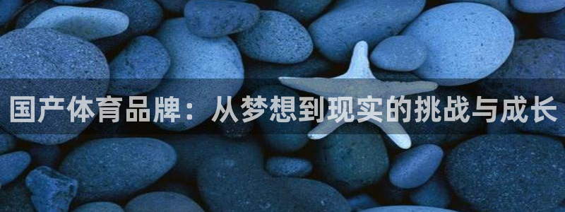 皇冠277体育：国产体育品牌：从梦想到现实的挑战与成长