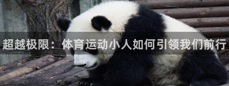 皇冠277体育：超越极限：体育运动小人如何引领我们前行