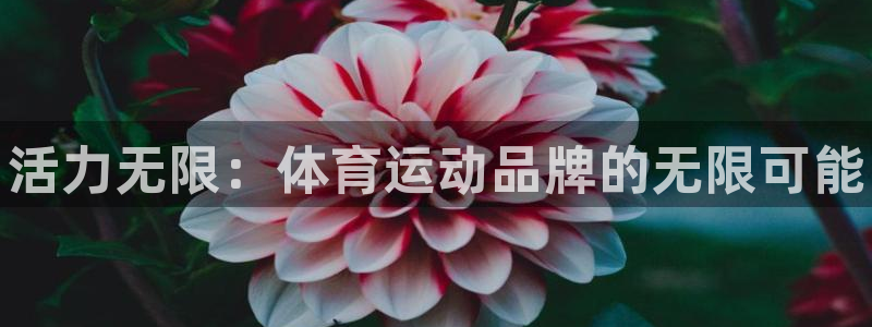 皇冠277体育：活力无限：体育运动品牌的无限可能