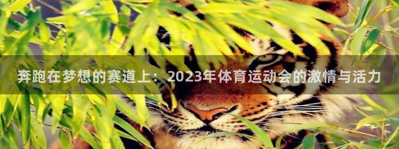 77体育app下载官网：奔跑在梦想的赛道上：2023年体育运动会的激情与活力