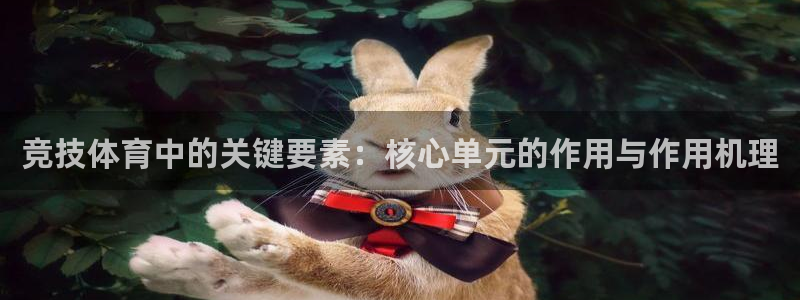 皇冠277体育：竞技体育中的关键要素：核心单元的作用与作用机理