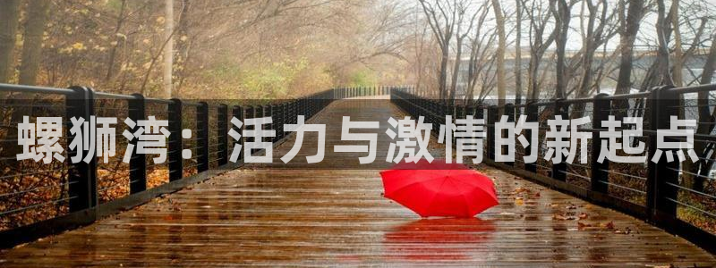77体育app下载官网：螺狮湾：活力与激情的新起点