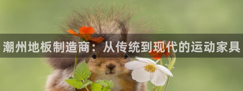 皇冠277体育：潮州地板制造商：从传统到现代的运动家具