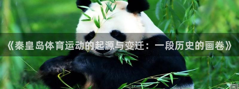 77体育官网：《秦皇岛体育运动的起源与变迁：一段历史的画卷》