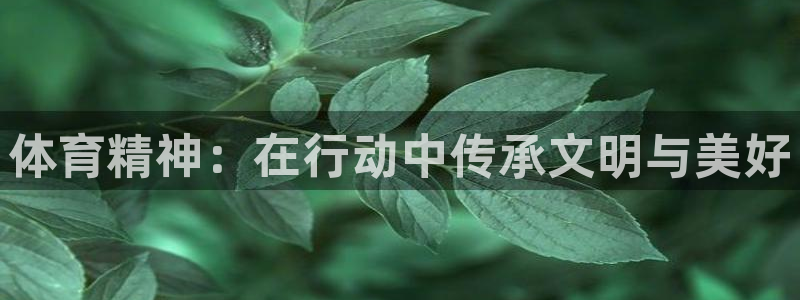 77体育官网：体育精神：在行动中传承文明与美好