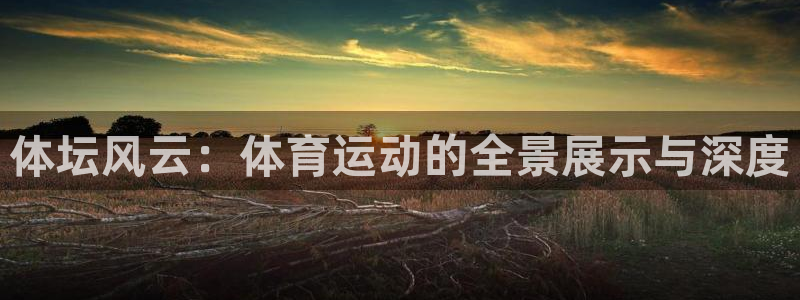 77体育：体坛风云：体育运动的全景展示与深度