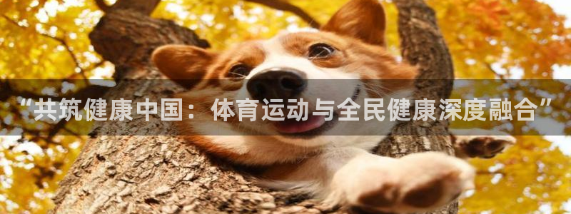 77体育app下载官网：“共筑健康中国：体育运动与全民健康深度融合”