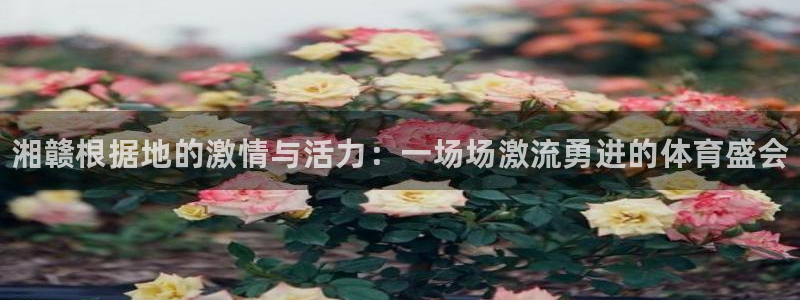 77体育：湘赣根据地的激情与活力：一场场激流勇进的体育盛会