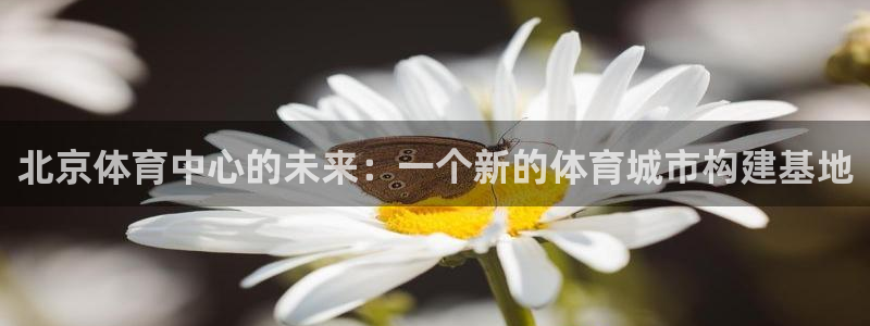 皇冠277体育：北京体育中心的未来：一个新的体育城市构建基地