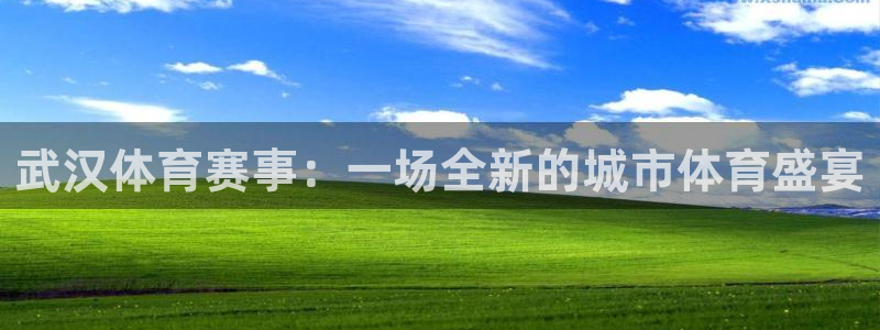 77体育app下载官网：武汉体育赛事：一场全新的城市体育盛宴