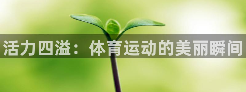 皇冠277体育：活力四溢：体育运动的美丽瞬间