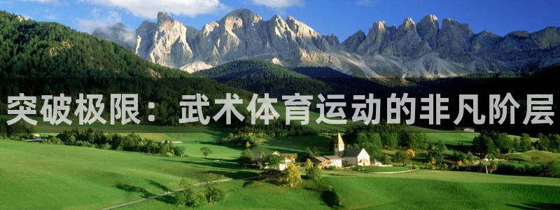 皇冠277体育：突破极限：武术体育运动的非凡阶层